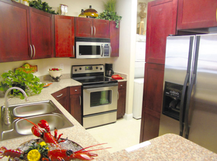 Houston Galleria Apartments with Gourmet Kitchens