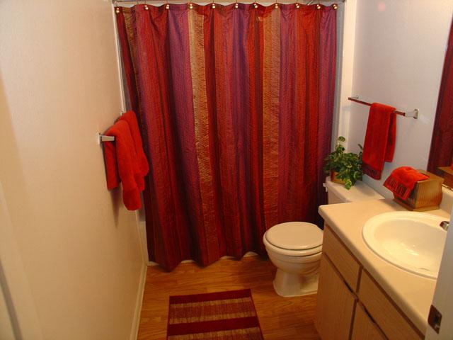 Round Rock Apartments with Spacious Bathroom