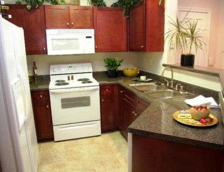 Houston Apartments Medical Center - San Melia