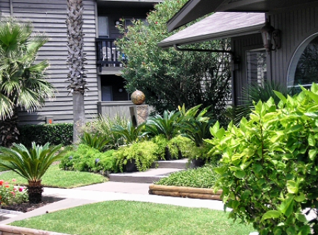 Driftwood Galveston Apartments