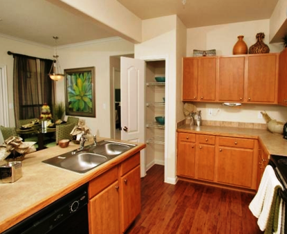 Modern kitchen amenities!