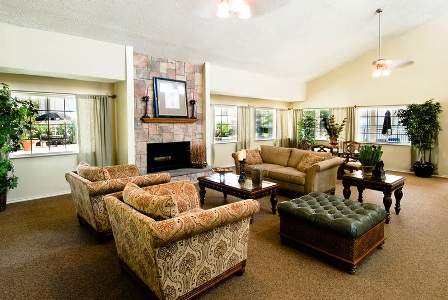 Wyndward Addison Resident Living Room