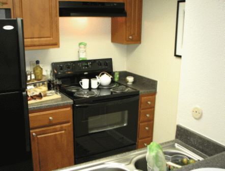 Gourmet Kitchens at Apartments in West Houston