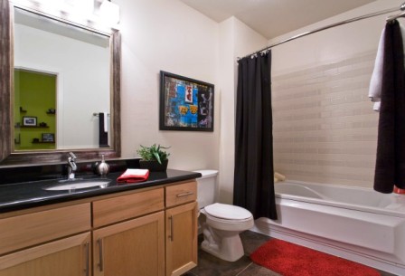 Take a dump in this comfortable bathroom at Greystar South Congress