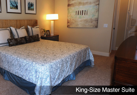 Photos of Alexan Westheimer Apartments