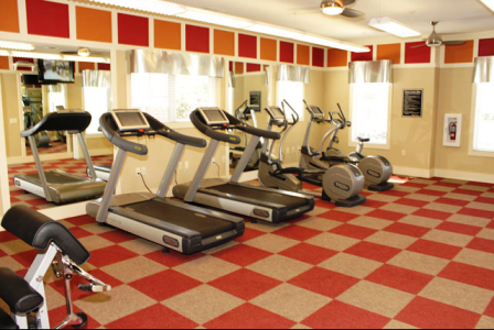 Gym at Alta Roxbury