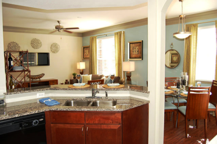 Gourmet Kitchens at Alta Roxbury