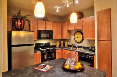 Dakota in The Village Apartments Photos