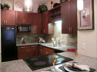 Gourmet Kitchens at Houston Medical Center Loft Apartments