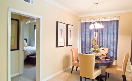 Mighty Luxurious Houston Galleria Apartments