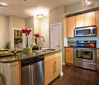 Gourmet Kitchens at Mosaic at Mueller Apartments