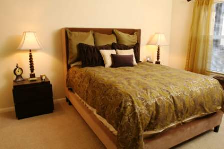 Spacious Apartment Bedroom for Rent in South Austin