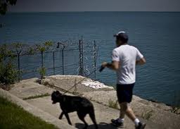 Pet-Friendly Austin High Rise Apartments at Windsor on the Lake