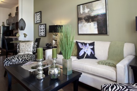 Desoto Town Center Apartments Photos