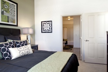 Desoto Town Center Apartments Photos