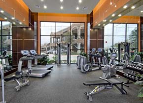 Elan at Bluffview Apartments Fitness Facility
