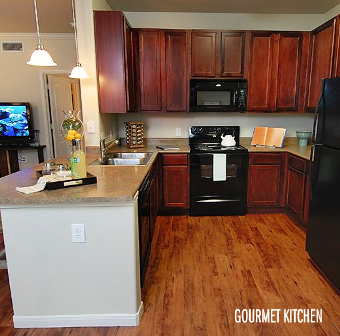 Gourmet Kitchen at Alexan Sommerall