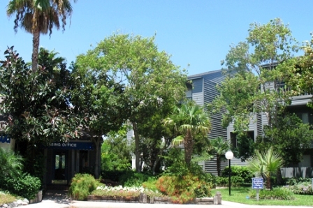 Galveston Island Seawall Apartments for Rent
