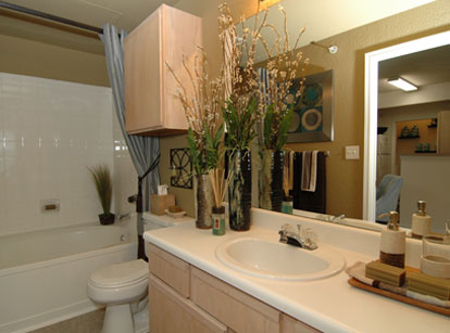 AMLI at Stonehollow Bathroom