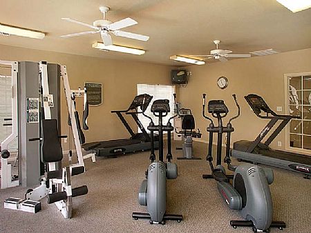 Houston Memorial Heights Apartments for Rent