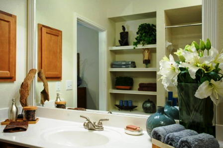 Century Palm Valley Apartments in Round Rock, TX 78664