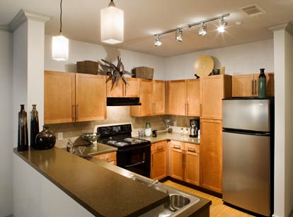 Gourmet Kitchens at AMLI Quadrangle