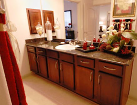 Apartments in West Houston for Rent