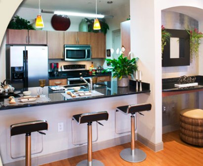 Ventura Lofts Houston with Modern Kitchen Appliacnes