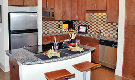 Alta Design District Kitchen