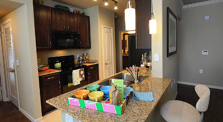 Gourmet Kitchens at Alexan Silber Apartments