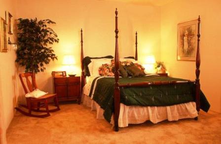 One Bedroom Apartment at Three Fountains One