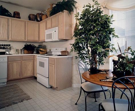 kitchen at the meridian