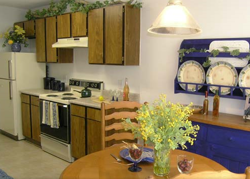Arbors of Central Park Apartments Kitchen