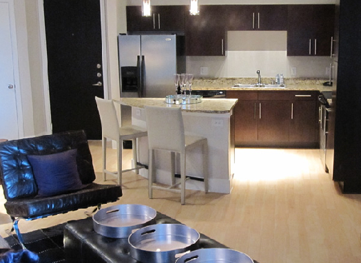 ilume Apartments Living Room