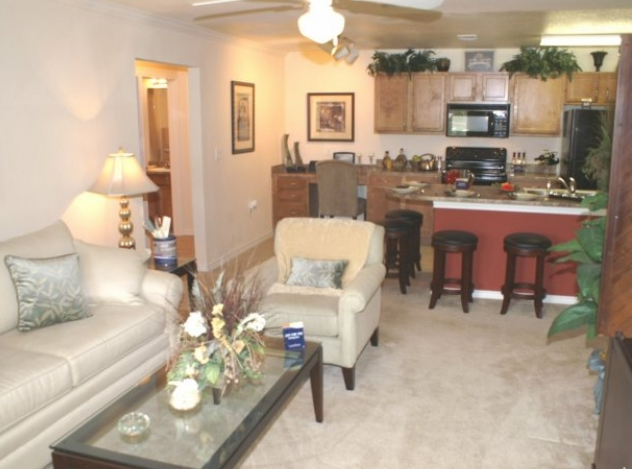 Living Area at Apartments in Cedar Park
