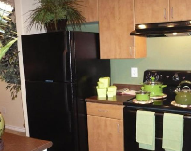 Gourmet Kitchens at these Houston Alief Apartments