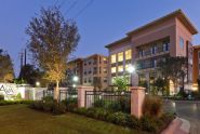The Ava Apartments in Houston, Texas