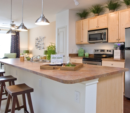 SOCO Apartments in Austin TX - Berkshire SoCo