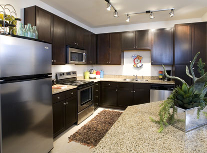 Apartments in Las Colinas with Gourmet Kitchens - AMLI at Escena