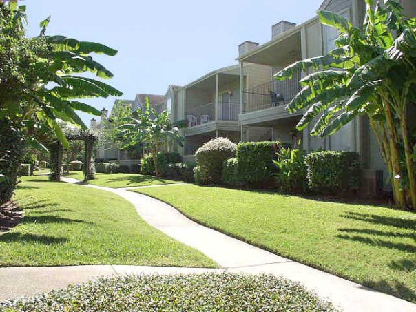 Medical Center Apartments in Houston at Broadmead