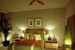 The Metropole