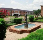 Three Fountains One