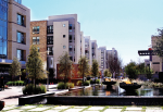 The Lofts CityCentre