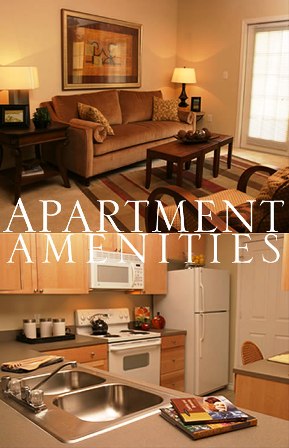 Apartment Amenities Amenities that Matter in your Apartment Rental